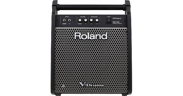 Jual Roland PM100 80-watt 1x10 inch Personal Monitor for